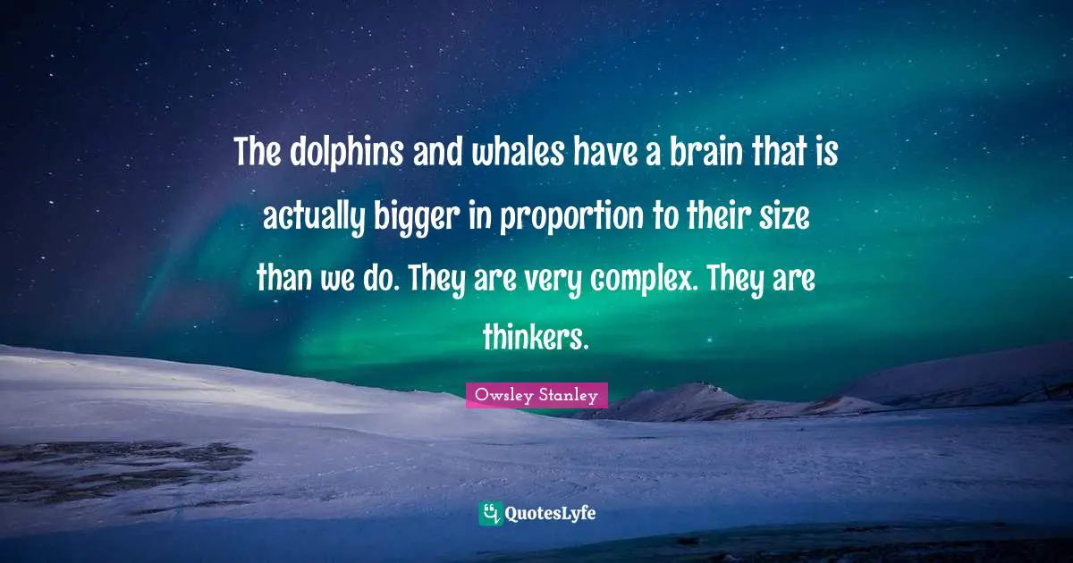 The dolphins and whales have a brain that is actually bigger in proportion to their size than we do. They are very complex. They are thinkers.