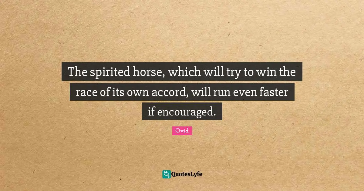 The spirited horse, which will try to win the race of its own accord, will run even faster if encouraged.
