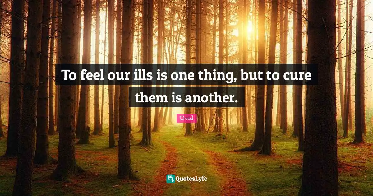 To feel our ills is one thing, but to cure them is another.