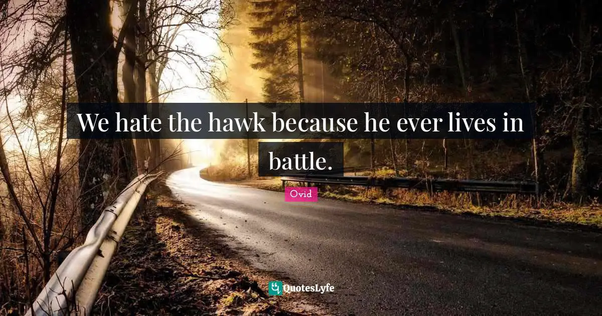 We hate the hawk because he ever lives in battle.