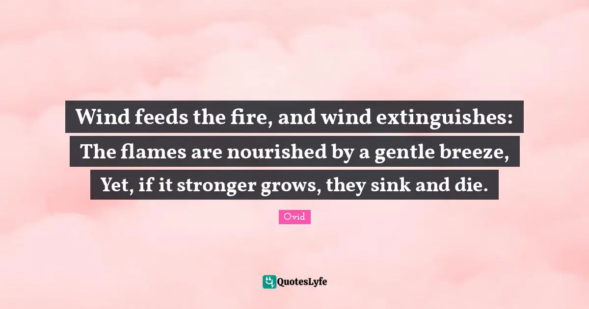 Wind feeds the fire, and wind extinguishes: The flames are nourished by a gentle breeze, Yet, if it stronger grows, they sink and die.