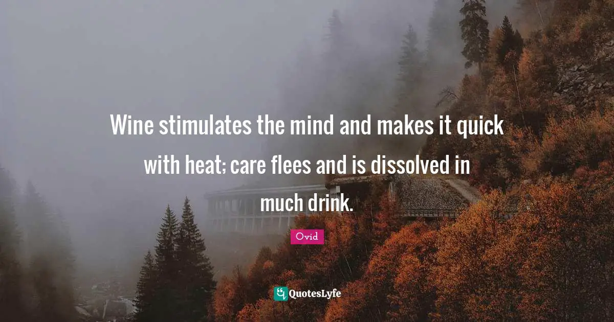 Wine stimulates the mind and makes it quick with heat; care flees and is dissolved in much drink.