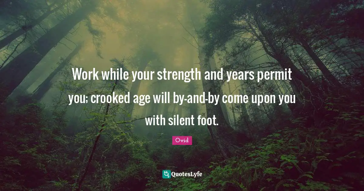 Work while your strength and years permit you; crooked age will by-and-by come upon you with silent foot.