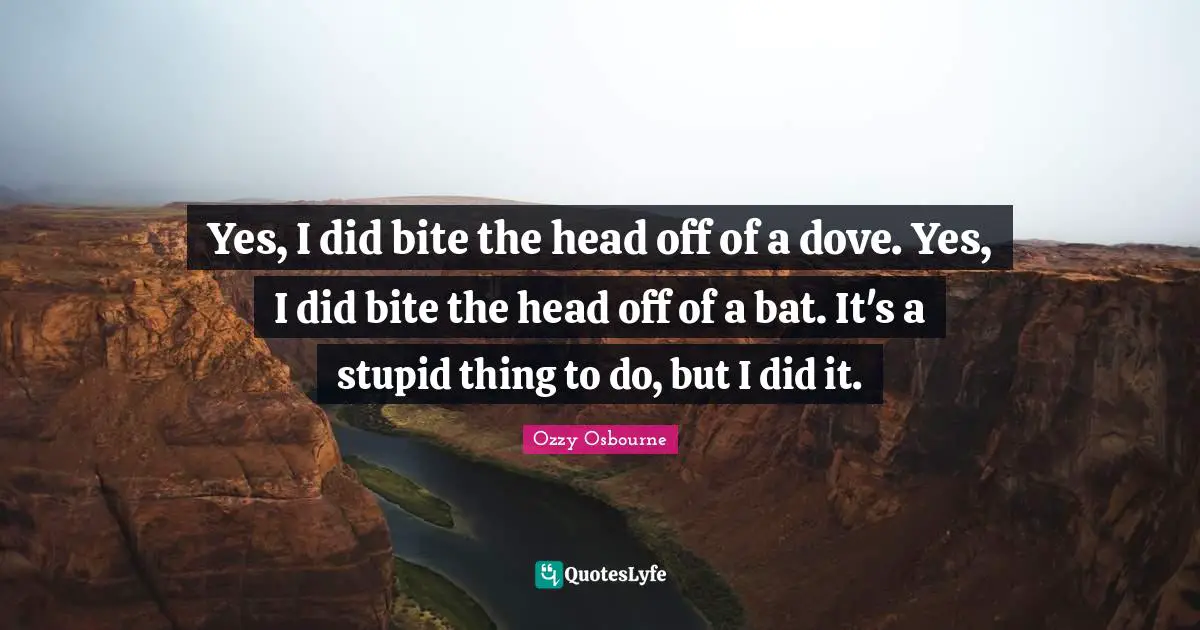 Yes, I did bite the head off of a dove. Yes, I did bite the head off of a bat. It's a stupid thing to do, but I did it.