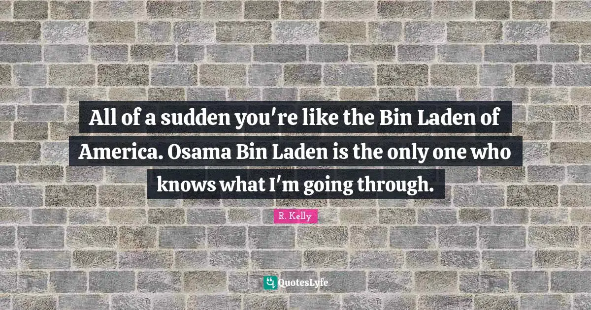 All of a sudden you're like the Bin Laden of America. Osama Bin Laden is the only one who knows what I'm going through.