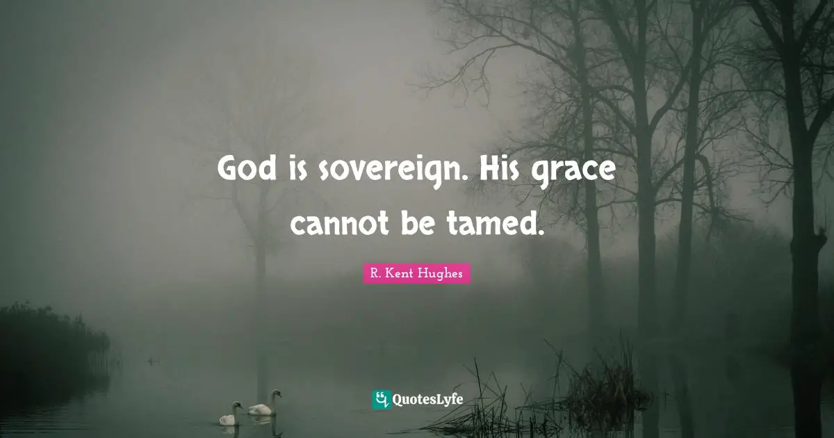 God is sovereign. His grace cannot be tamed.