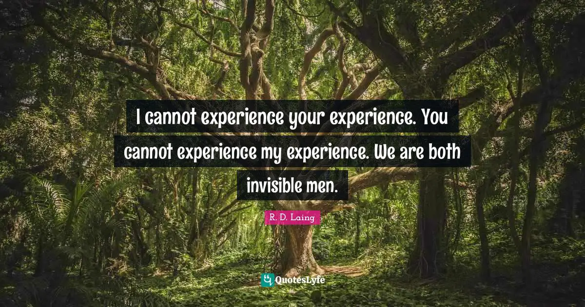 I cannot experience your experience. You cannot experience my experience. We are both invisible men.