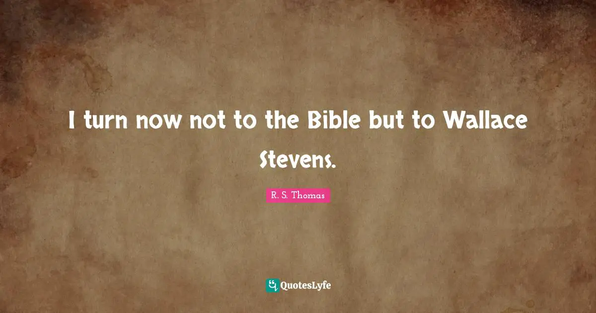 I turn now not to the Bible but to Wallace Stevens.