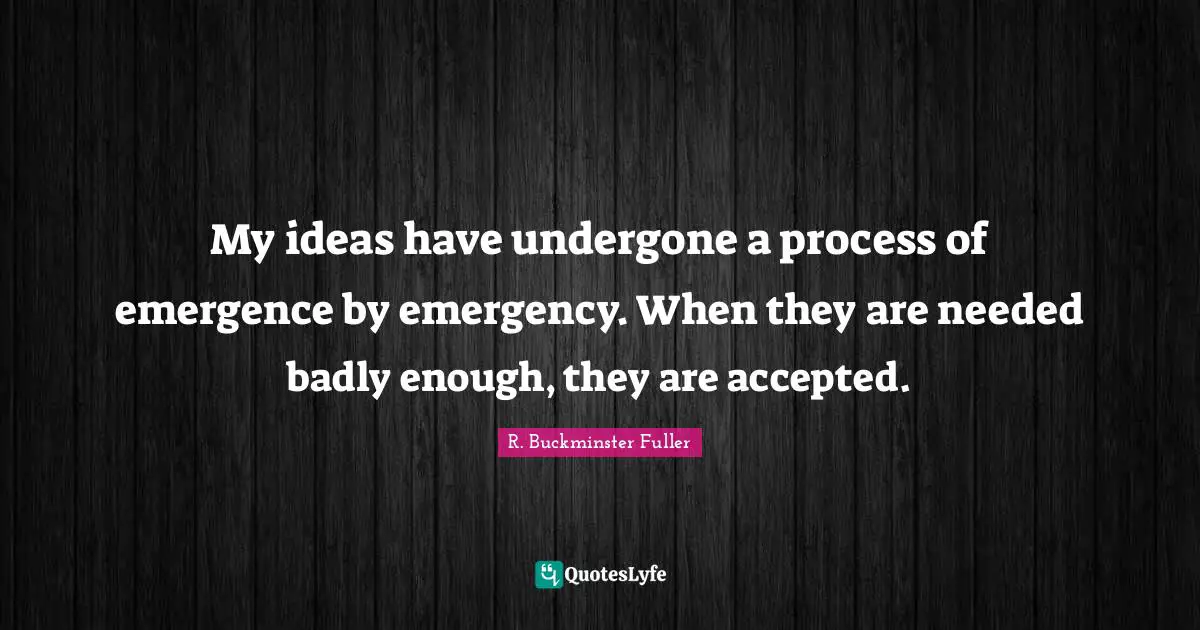 My ideas have undergone a process of emergence by emergency. When they are needed badly enough, they are accepted.