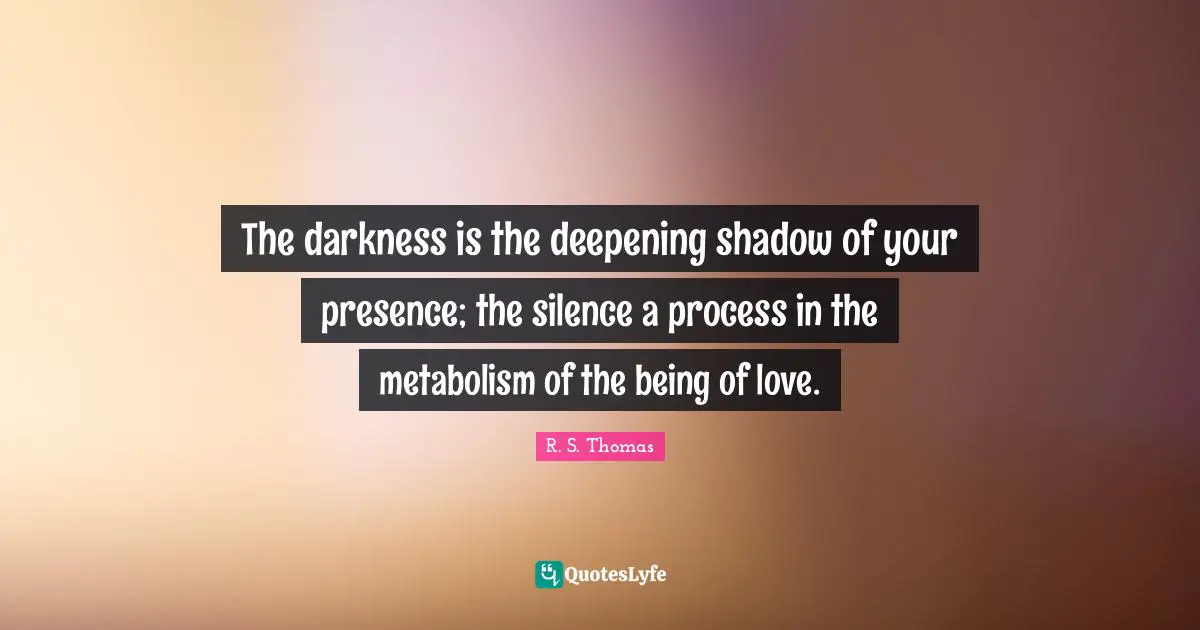 The darkness is the deepening shadow of your presence; the silence a process in the metabolism of the being of love.