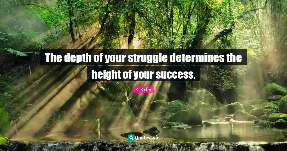 E.M. Kelly Quotes: "The depth of your struggle determines the height of your success."