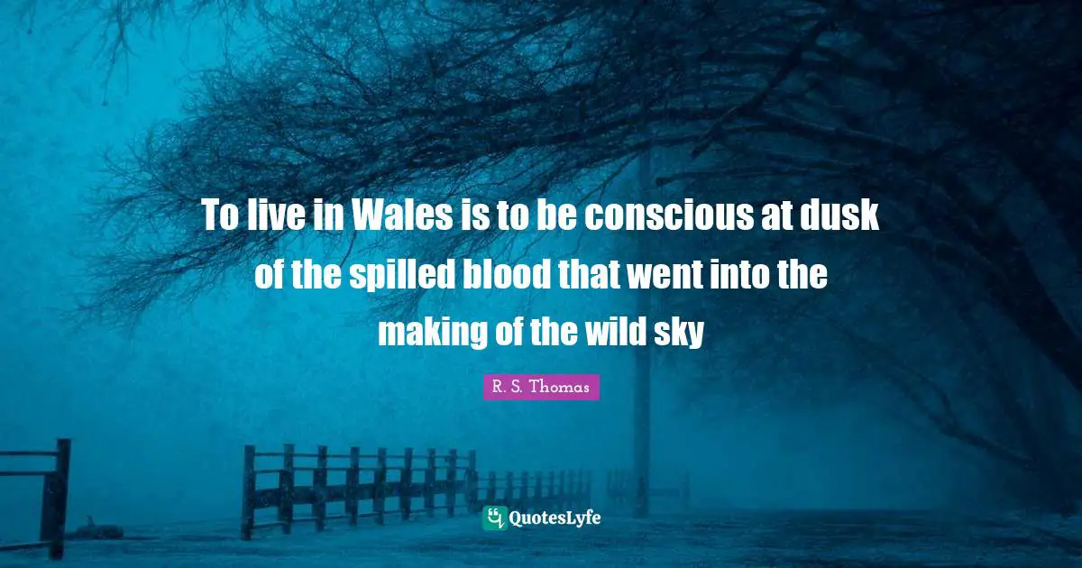 To live in Wales is to be conscious at dusk of the spilled blood that went into the making of the wild sky