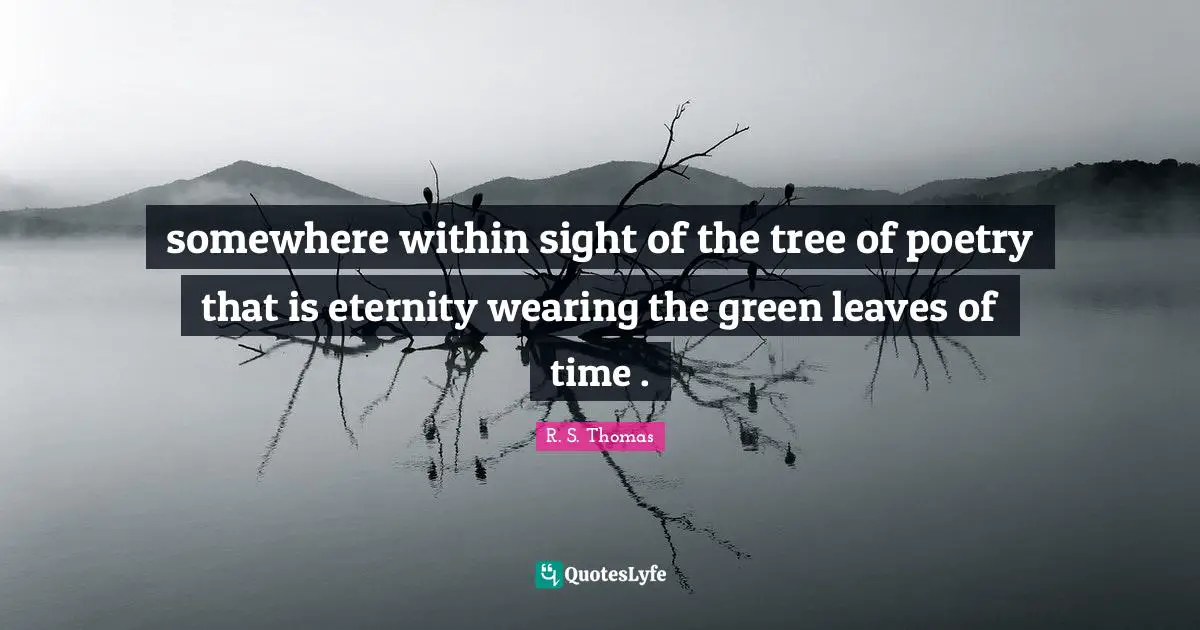 somewhere within sight of the tree of poetry that is eternity wearing the green leaves of time .