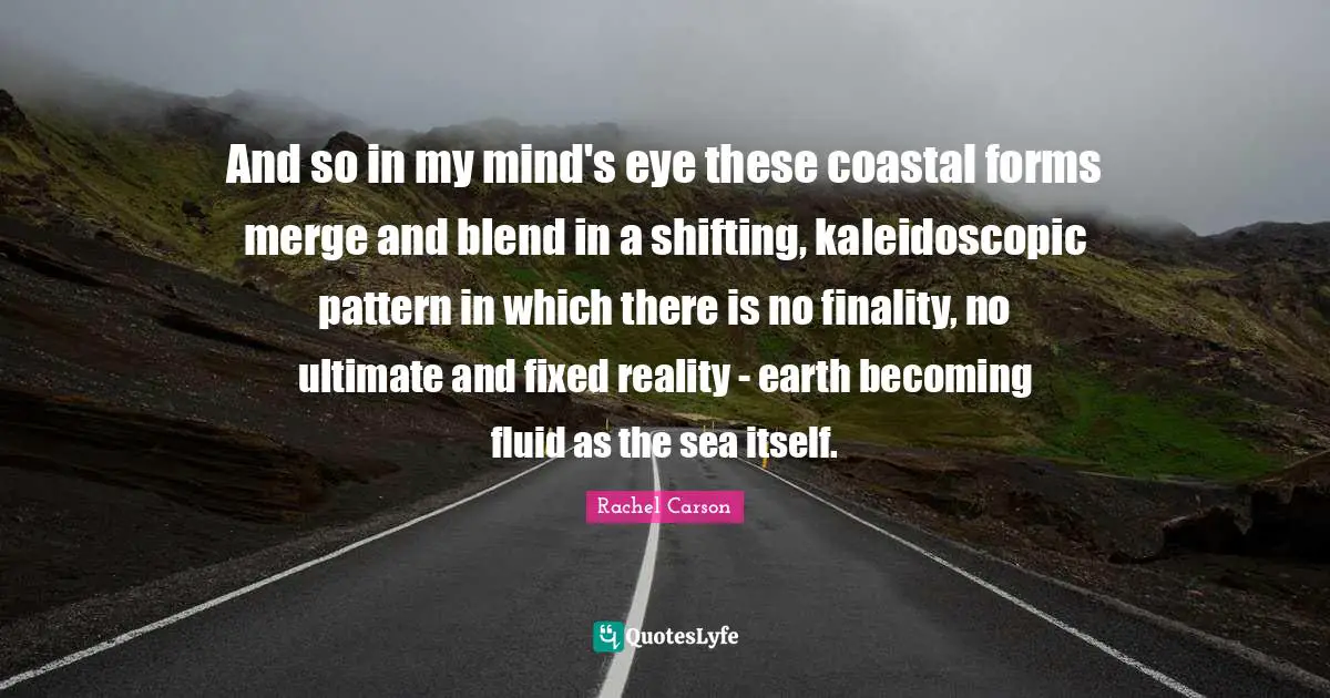 And so in my mind's eye these coastal forms merge and blend in a shifting, kaleidoscopic pattern in which there is no finality, no ultimate and fixed reality - earth becoming fluid as the sea itself.