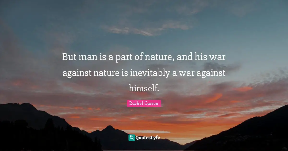 Rachel Carson Quotes: But man is a part of nature, and his war against nature is inevitably a war against himself.