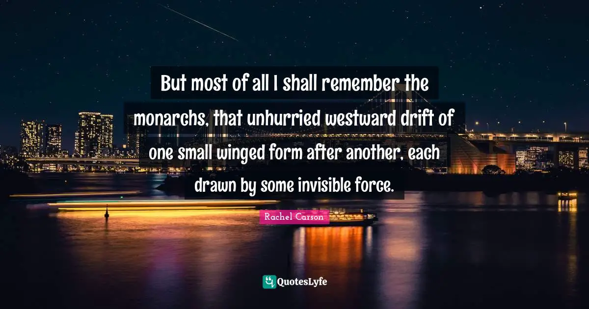 But most of all I shall remember the monarchs, that unhurried westward drift of one small winged form after another, each drawn by some invisible force.
