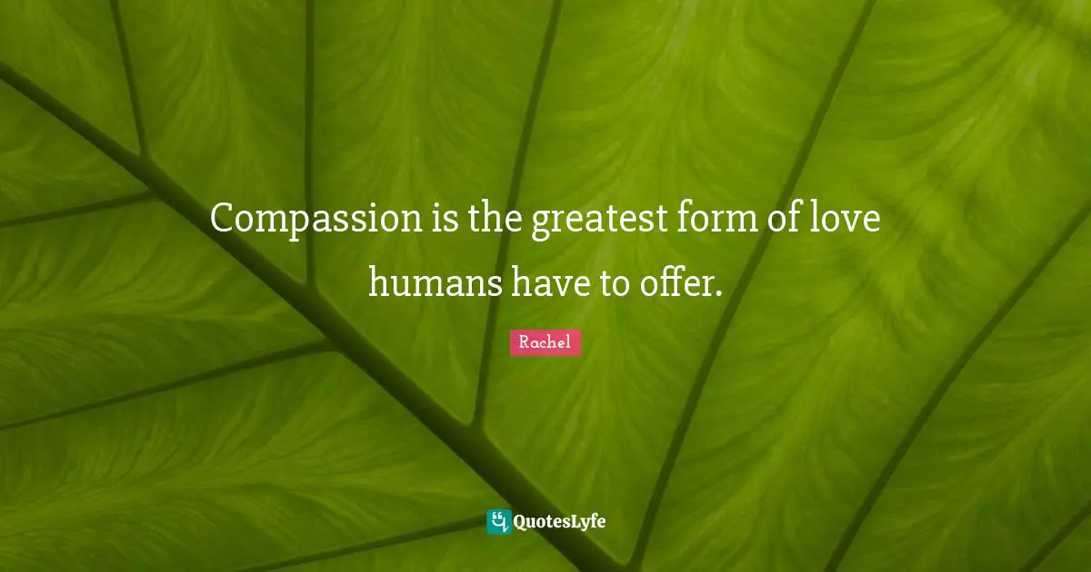 Compassion is the greatest form of love humans have to offer.