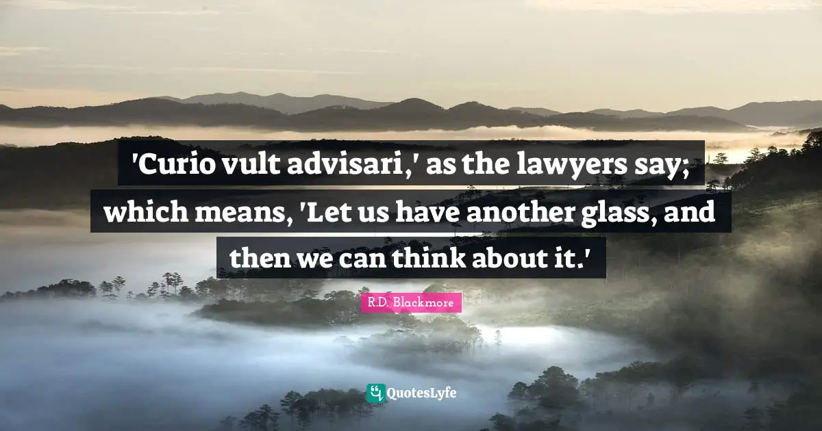 'Curio vult advisari,' as the lawyers say; which means, 'Let us have another glass, and then we can think about it.'