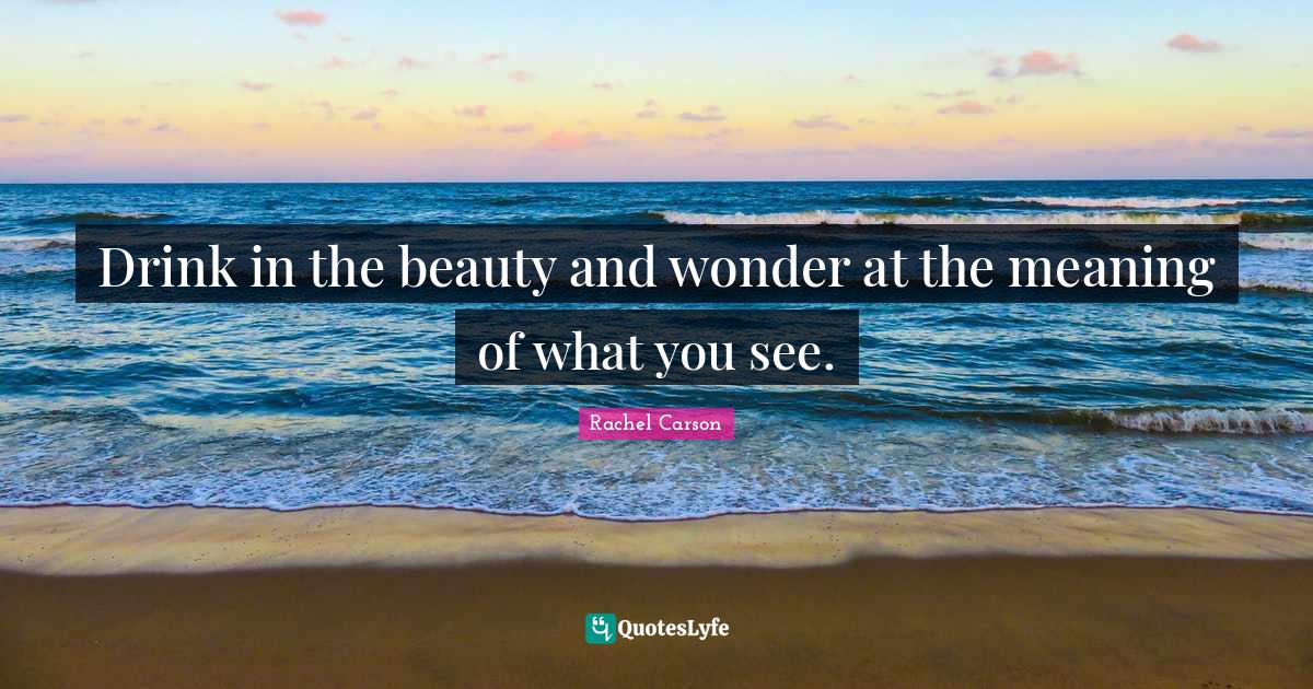 Drink in the beauty and wonder at the meaning of what you see.... Quote