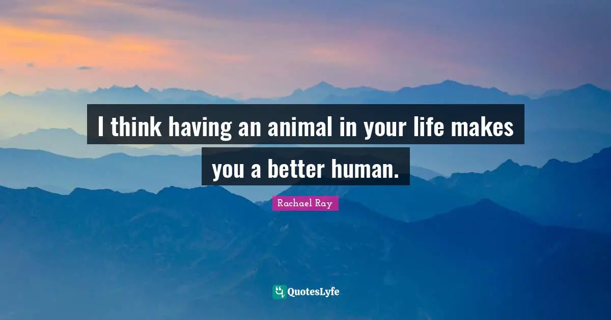 I think having an animal in your life makes you a better human.