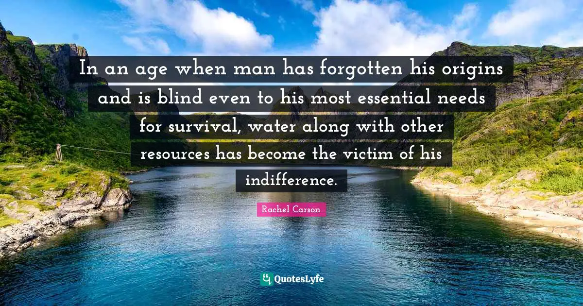 In an age when man has forgotten his origins and is blind even to his most essential needs for survival, water along with other resources has become the victim of his indifference.