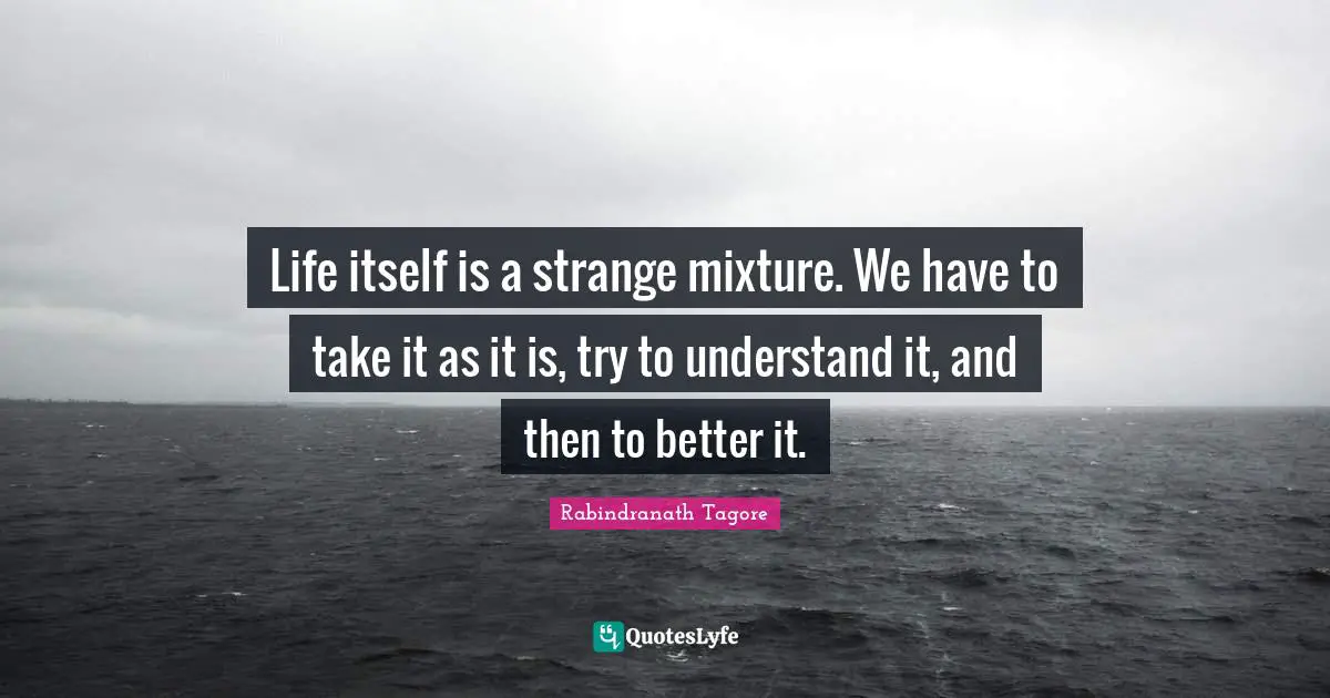 Mixtures Quotes: "Life itself is a strange mixture. We have to take it as it is, try to understand it, and then to better it."