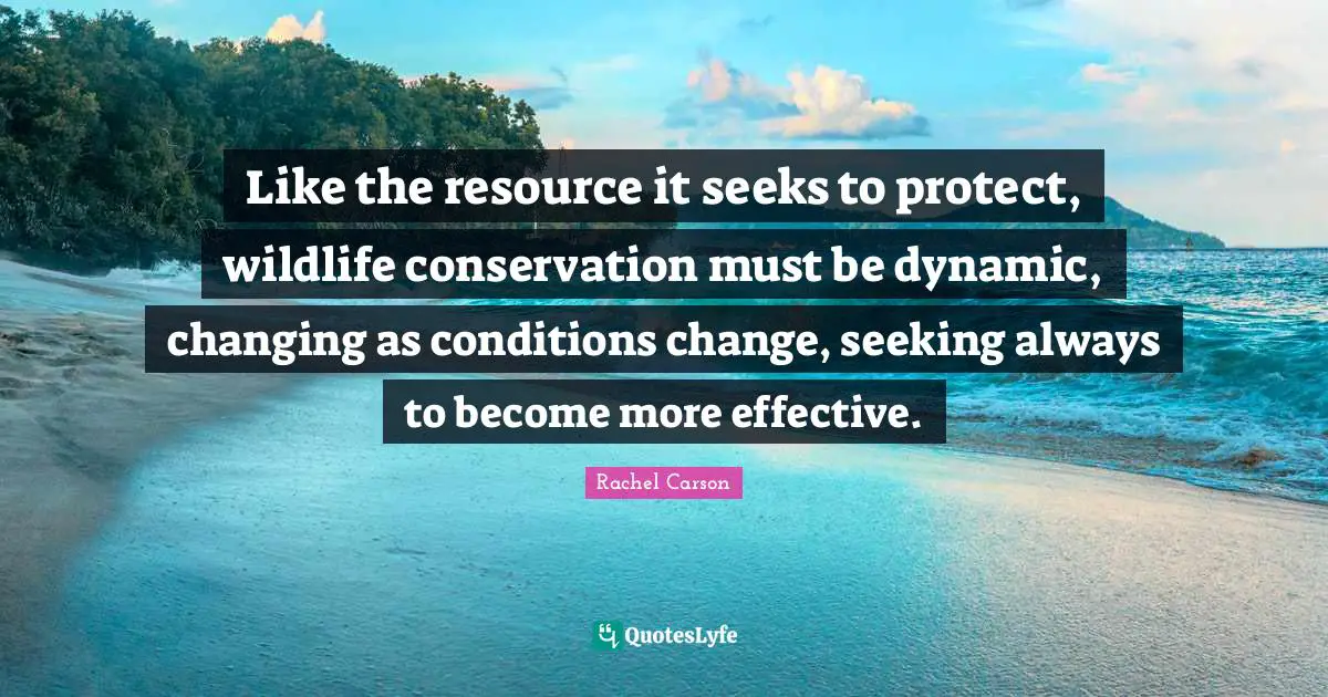 Like the resource it seeks to protect, wildlife conservation must be dynamic, changing as conditions change, seeking always to become more effective.