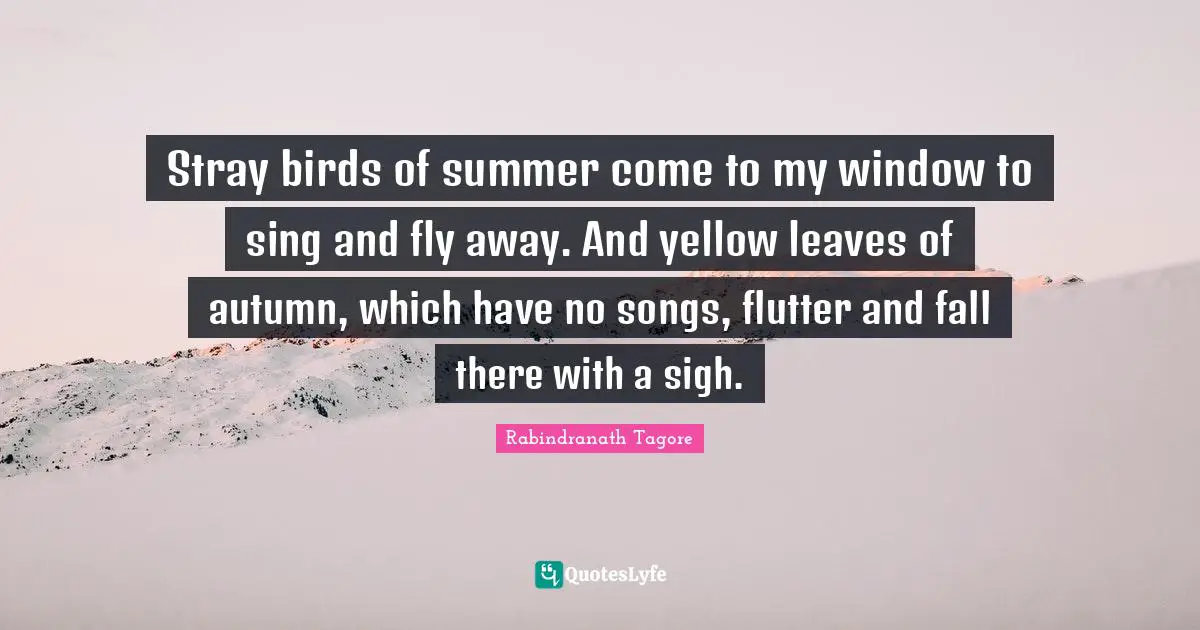 Autumn Quotes: "Stray birds of summer come to my window to sing and fly away. And yellow leaves of autumn, which have no songs, flutter and fall there with a sigh."