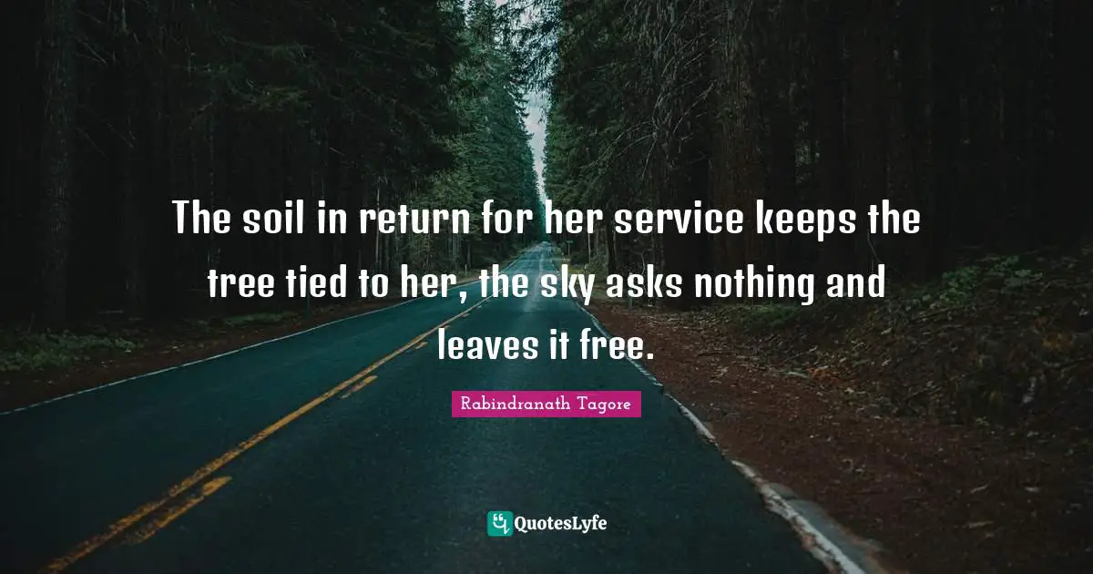 The soil in return for her service keeps the tree tied to her, the sky asks nothing and leaves it free.