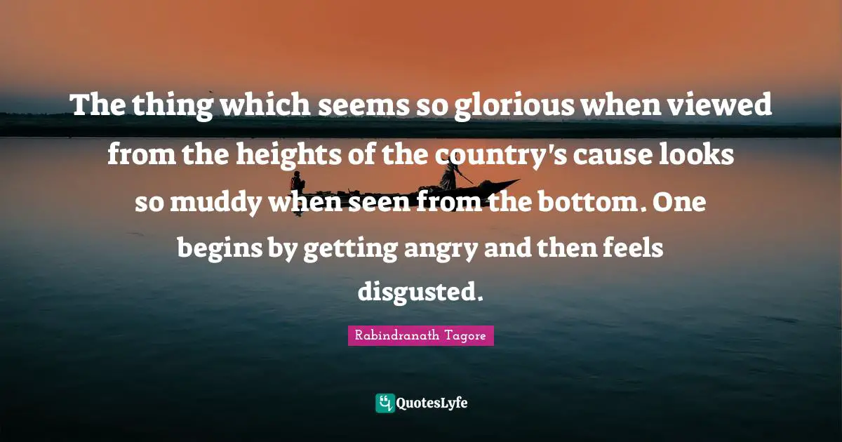 The thing which seems so glorious when viewed from the heights of the country's cause looks so muddy when seen from the bottom. One begins by getting angry and then feels disgusted.
