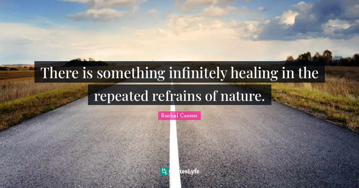 Wilderness Quotes: "There is something infinitely healing in the repeated refrains of nature."