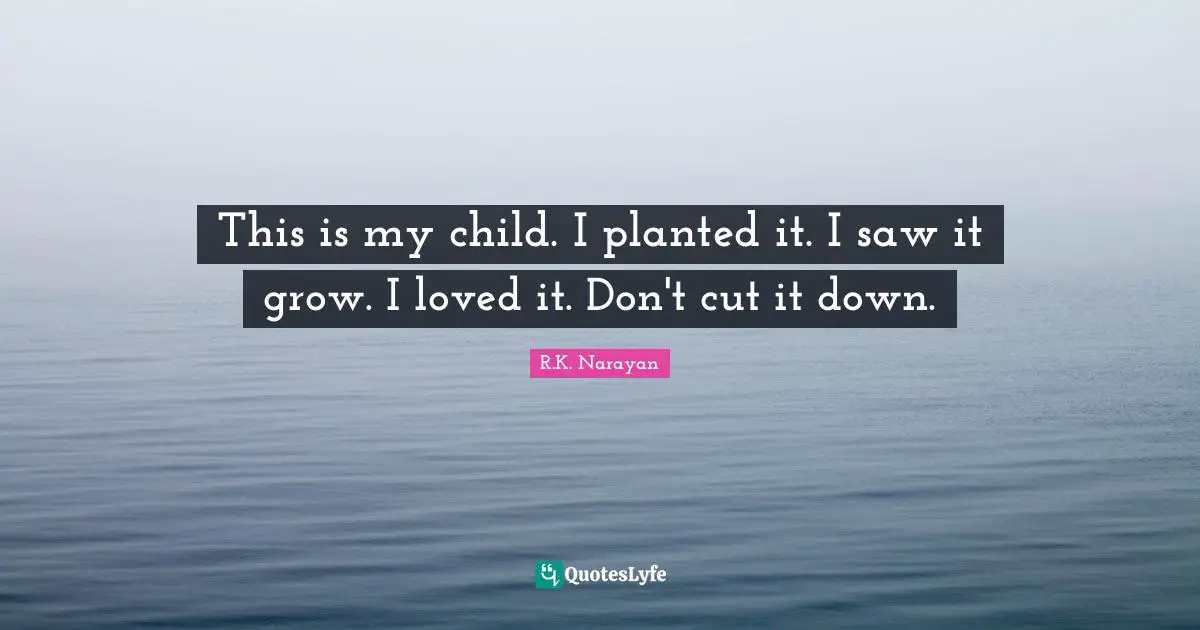 This is my child. I planted it. I saw it grow. I loved it. Don't cut it down.