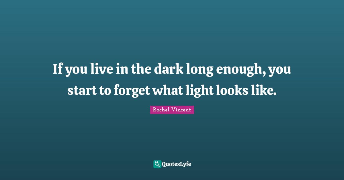 If you live in the dark long enough, you start to forget what light looks like.