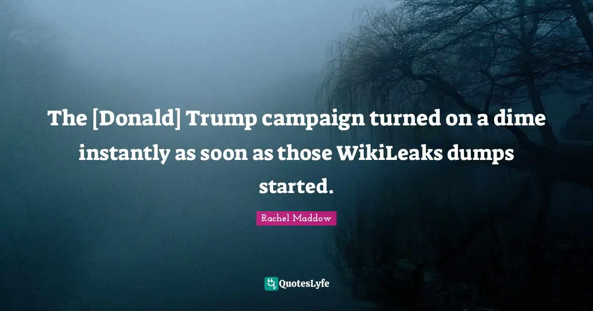 The [Donald] Trump campaign turned on a dime instantly as soon as those WikiLeaks dumps started.