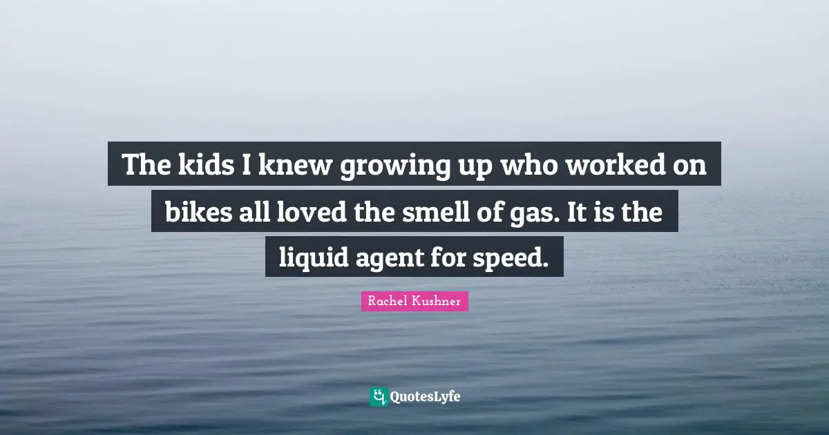 The kids I knew growing up who worked on bikes all loved the smell of gas. It is the liquid agent for speed.