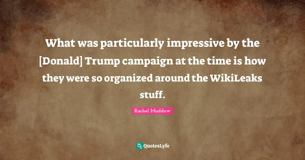 What was particularly impressive by the [Donald] Trump campaign at the time is how they were so organized around the WikiLeaks stuff.