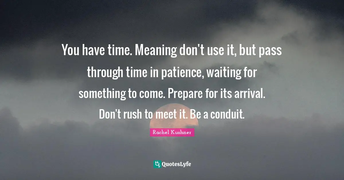 You have time. Meaning don't use it, but pass through time in patience, waiting for something to come. Prepare for its arrival. Don't rush to meet it. Be a conduit.