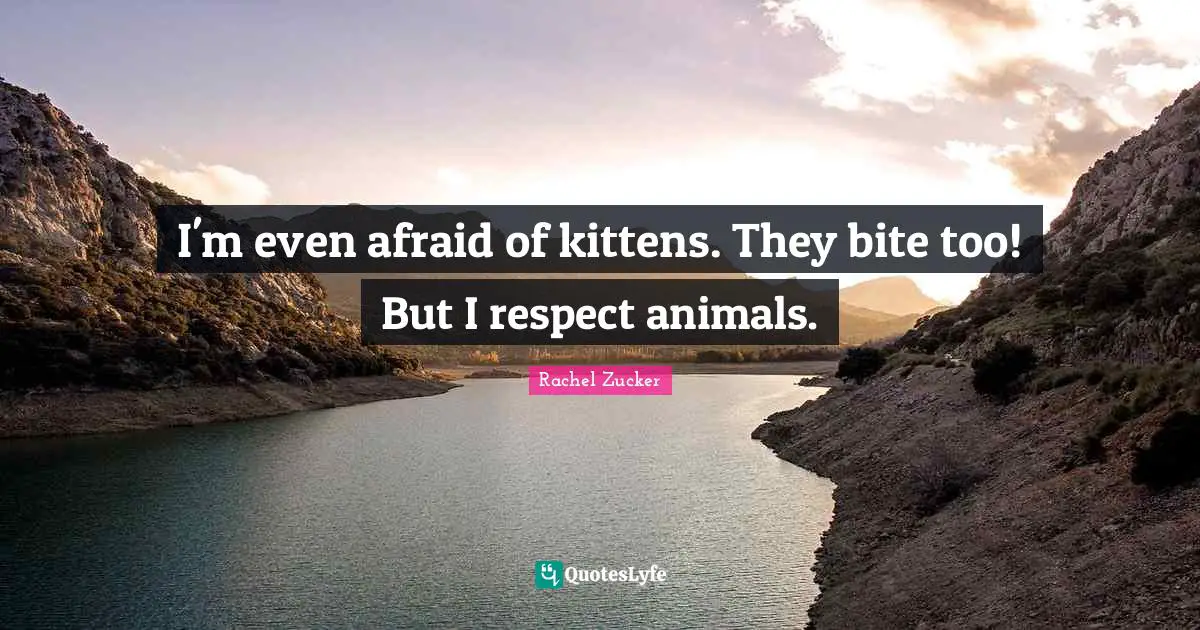 I'm even afraid of kittens. They bite too! But I respect animals.