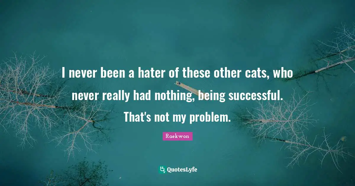 Being Successful Quotes: "I never been a hater of these other cats, who never really had nothing, being successful. That's not my problem."