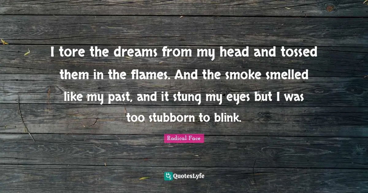 I tore the dreams from my head and tossed them in the flames. And the smoke smelled like my past, and it stung my eyes but I was too stubborn to blink.