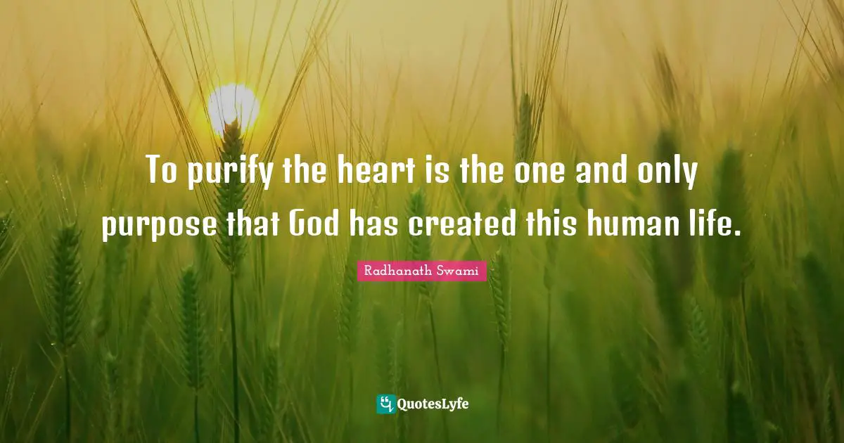 To purify the heart is the one and only purpose that God has created this human life.