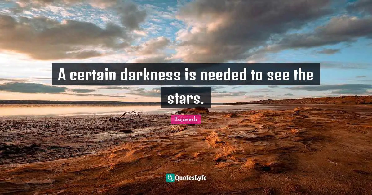 A certain darkness is needed to see the stars.