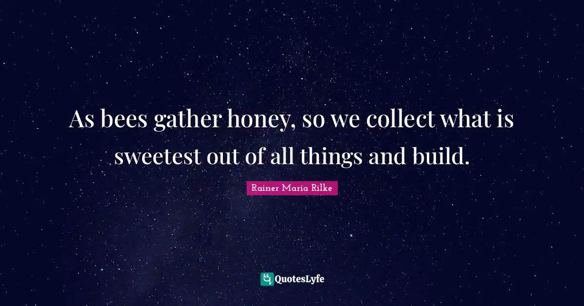 Sweetest Quotes: "As bees gather honey, so we collect what is sweetest out of all things and build."