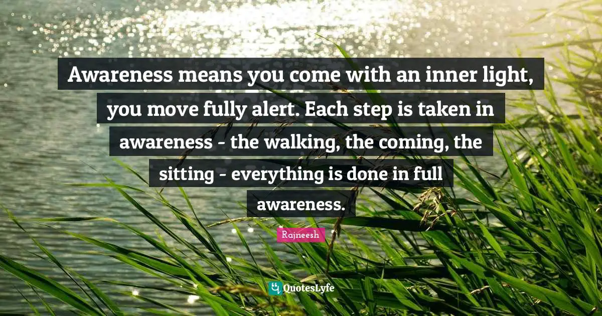 Awareness means you come with an inner light, you move fully alert. Each step is taken in awareness - the walking, the coming, the sitting - everything is done in full awareness.