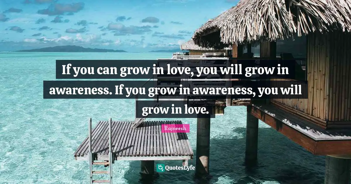 If you can grow in love, you will grow in awareness. If you grow in awareness, you will grow in love.