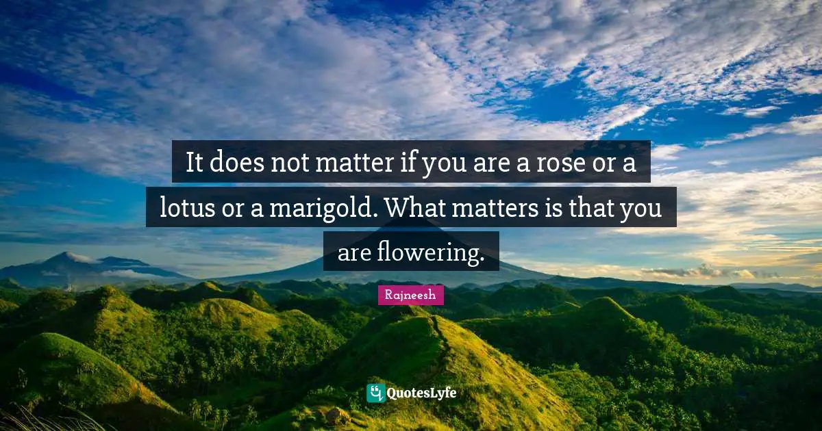 Rose Quotes: "It does not matter if you are a rose or a lotus or a marigold. What matters is that you are flowering."