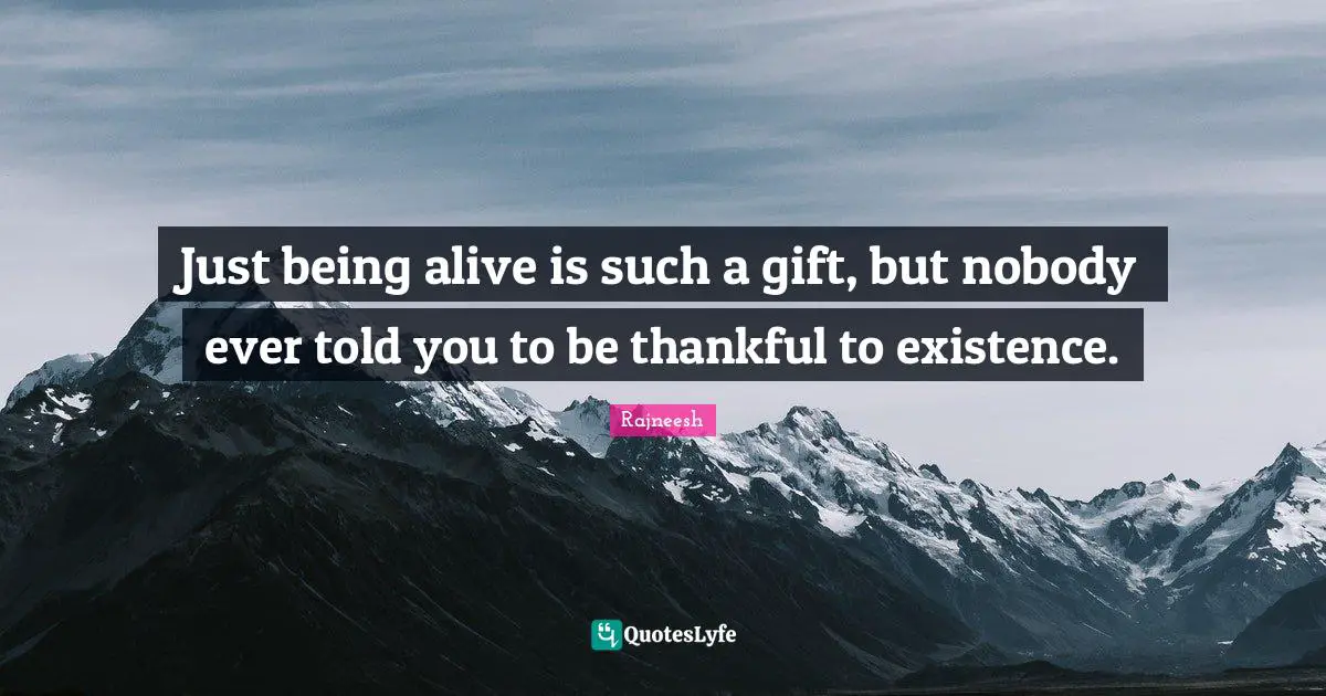 Just being alive is such a gift, but nobody ever told you to be thankful to existence.