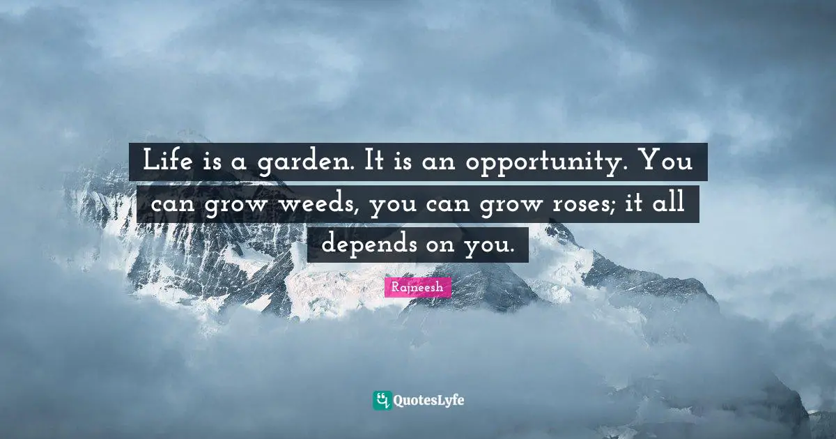 Life is a garden. It is an opportunity. You can grow weeds, you can grow roses; it all depends on you.