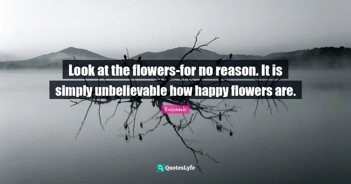 Look at the flowers-for no reason. It is simply unbelievable how happy flowers are.