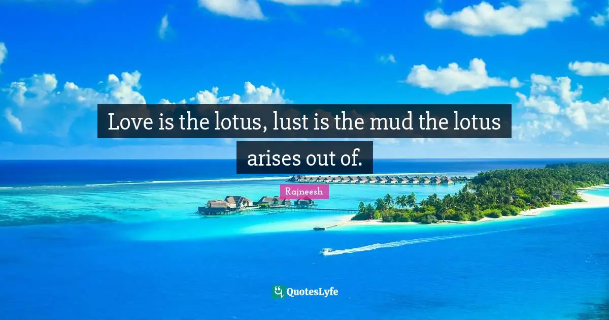 Love is the lotus, lust is the mud the lotus arises out of.